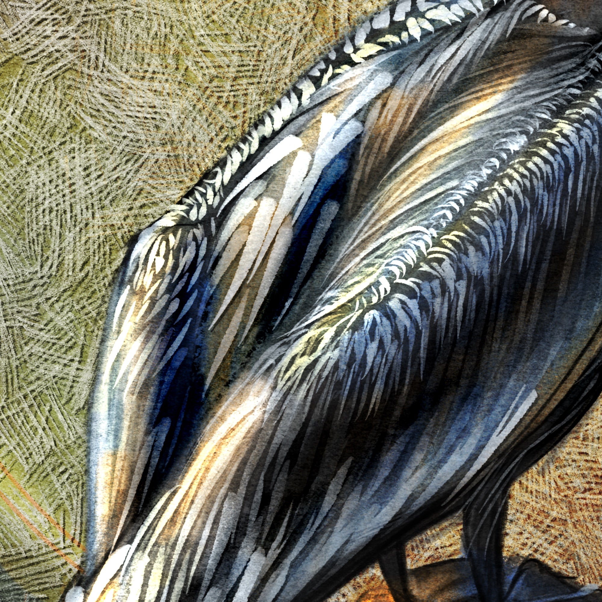 Close-up of a feather with detailed texture on a textured background