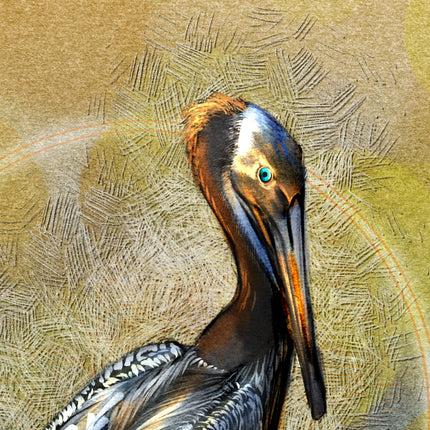 Artistic depiction of a pelican with a textured background