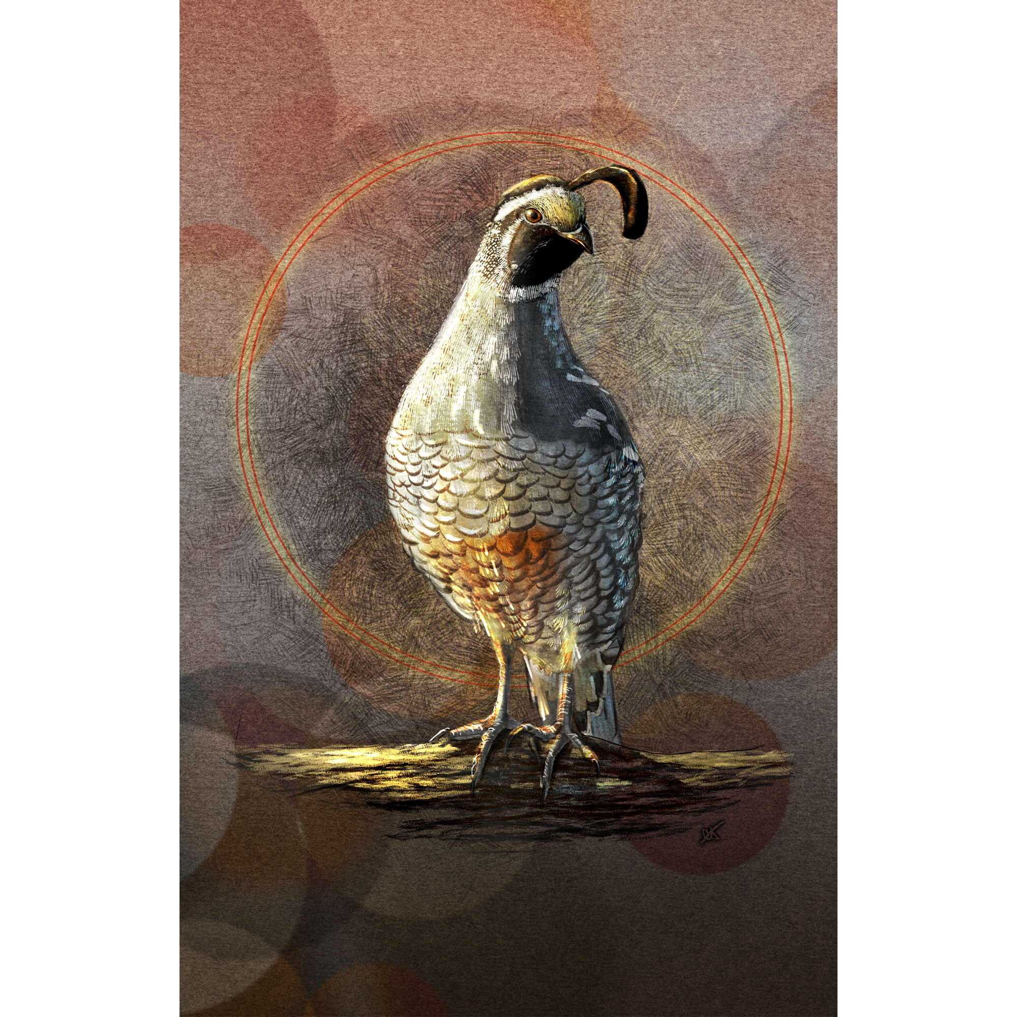 Illustration of a quail on a textured brown background
