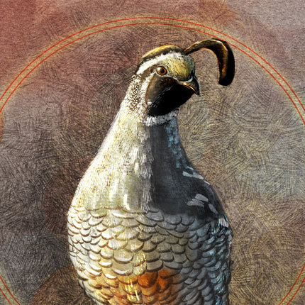 Illustration of a quail with a detailed background