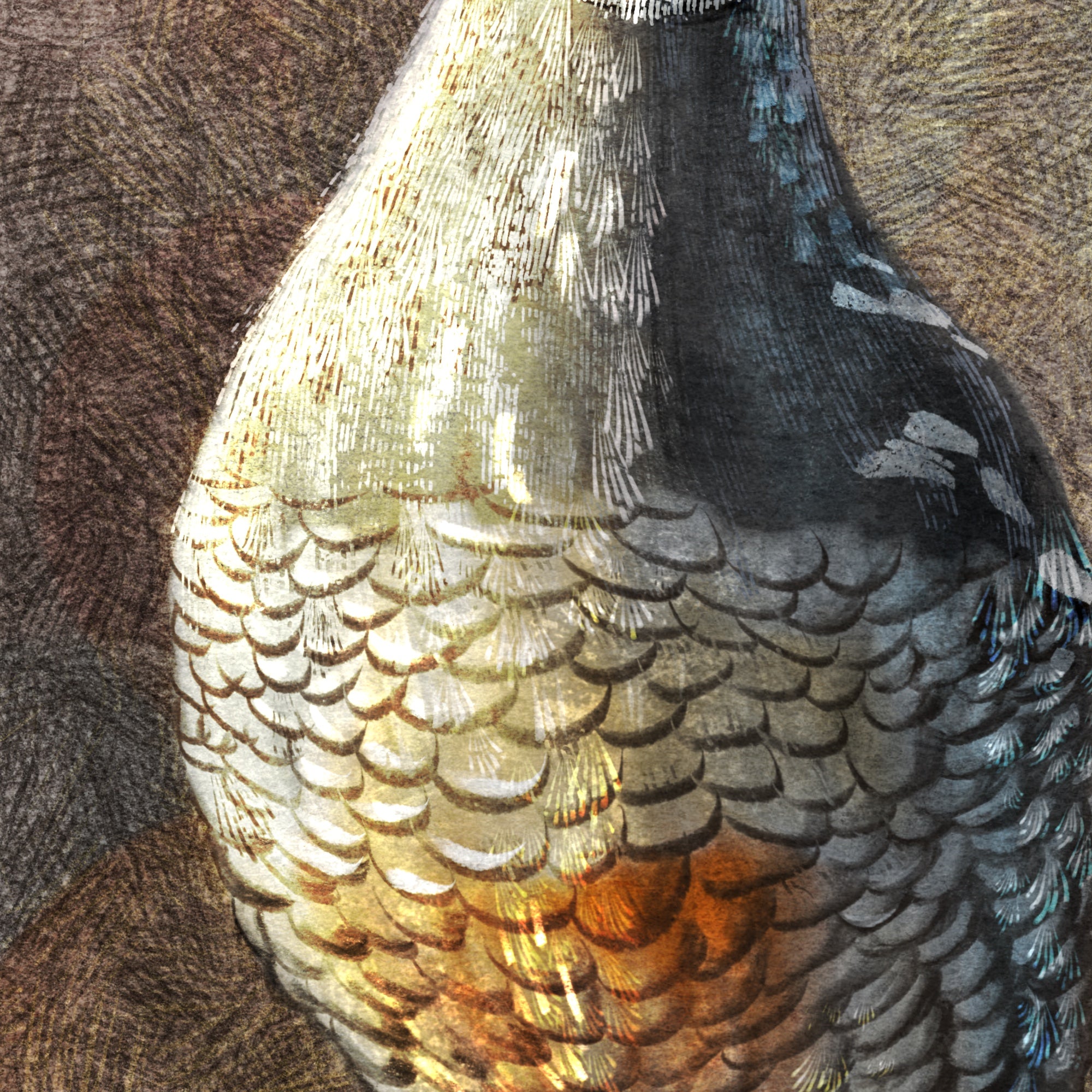 Close-up of a bird's feathers with detailed texture on a brown background