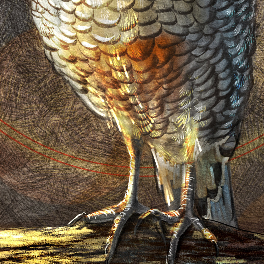 Close-up of a quail with detailed feathers on a textured background