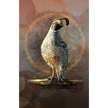 Illustration of a quail on a textured brown background