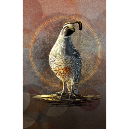 Illustration of a quail on a textured brown background