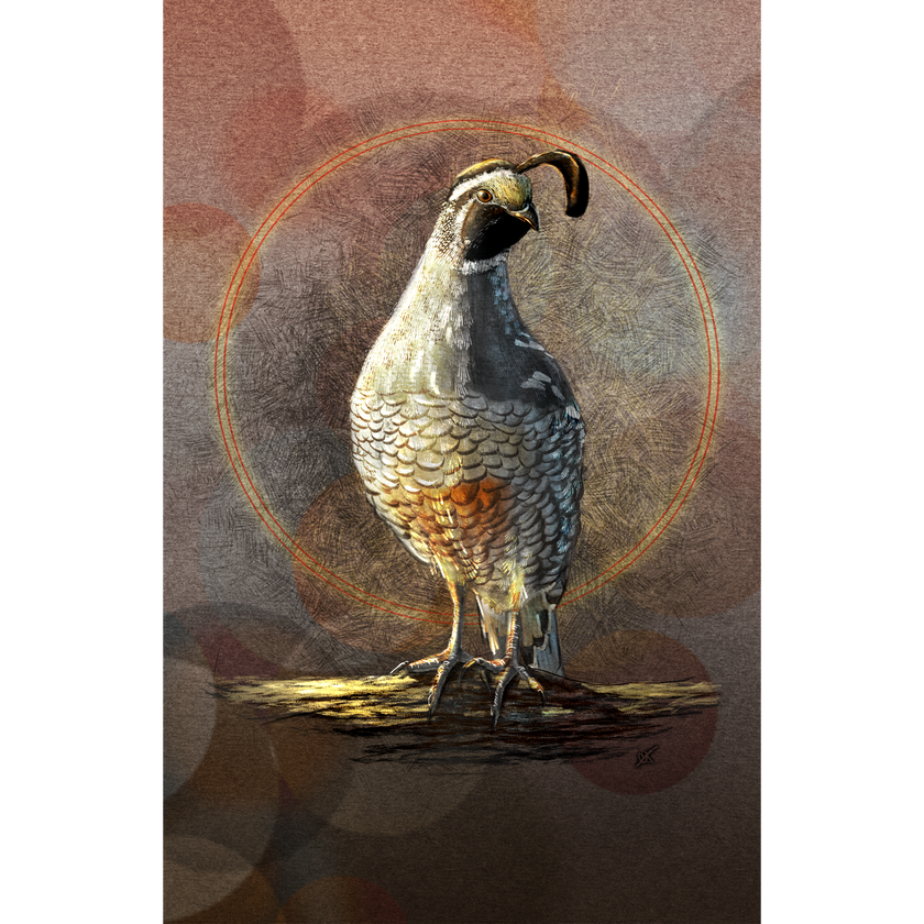 Illustration of a quail on a textured brown background