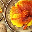 Close-up of a dried orange flower on a textured brown background