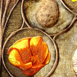 Close-up of a dried orange flower on a textured brown background