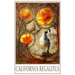 Decorative card with a quail and California poppies on a textured background, featuring the text 'California Regalitus'.