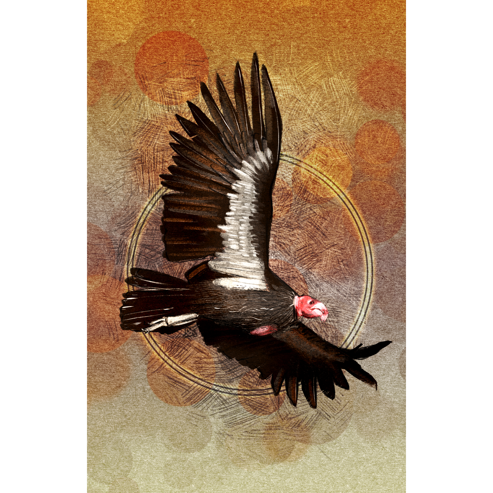 Condor in flight with a textured brown and orange background