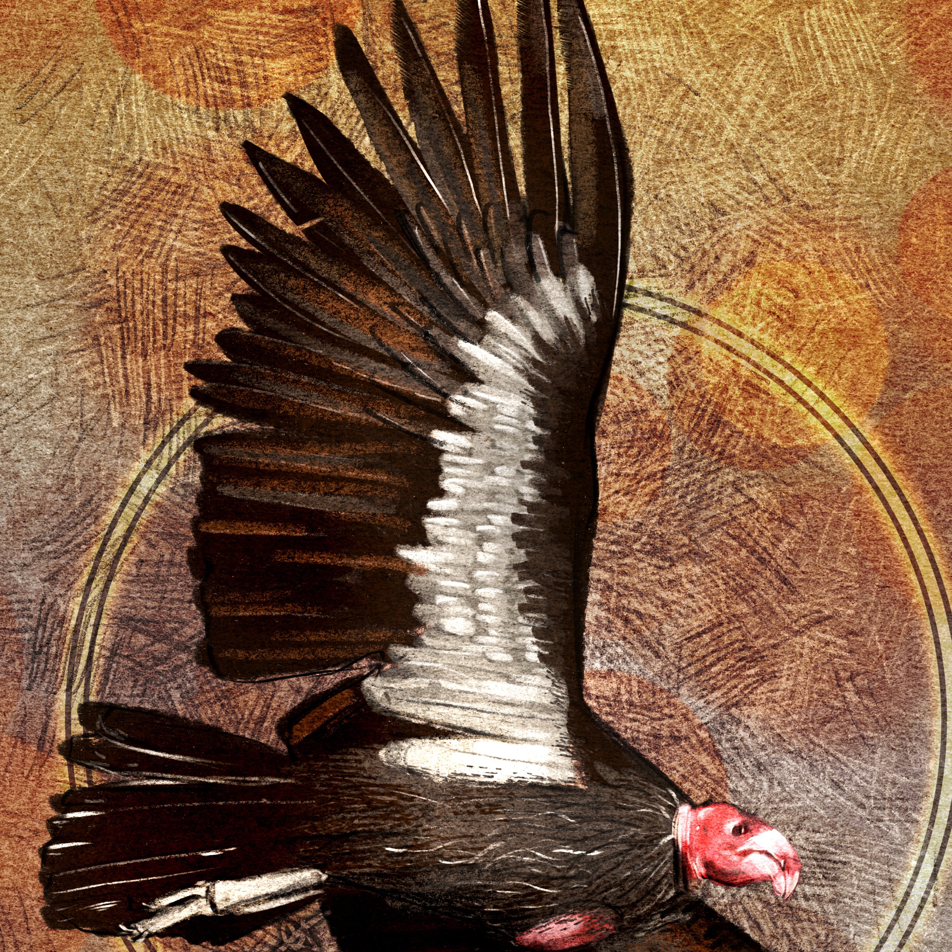 Artistic depiction of a condor with outstretched wings on a textured brown background