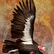 Artistic depiction of a condor with outstretched wings on a textured brown background