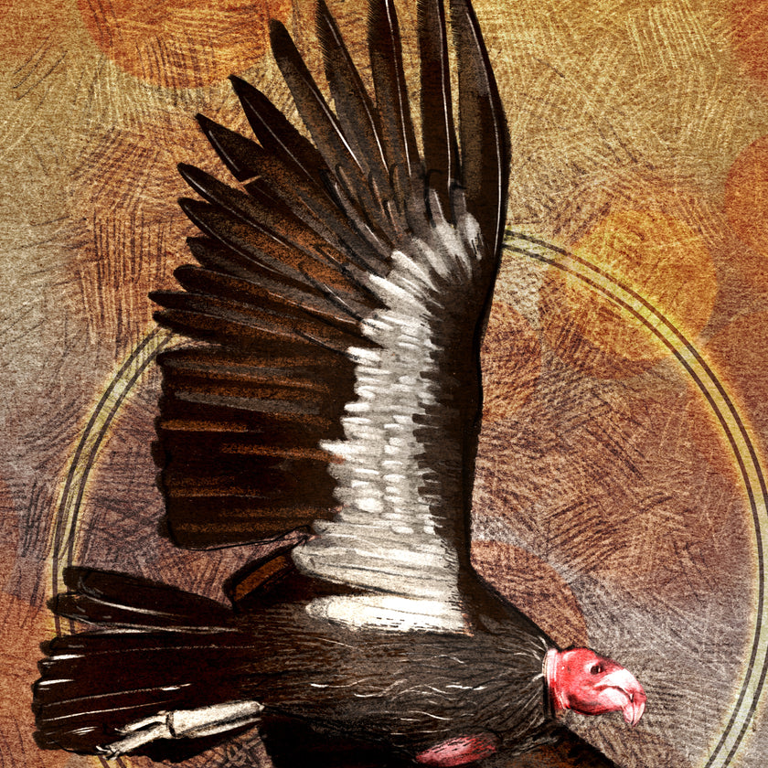 Artistic depiction of a condor with outstretched wings on a textured brown background