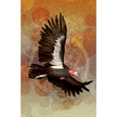 Condor in flight with a textured brown and orange background