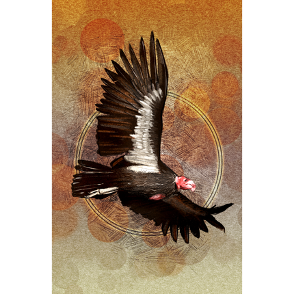 Condor in flight with a textured brown and orange background