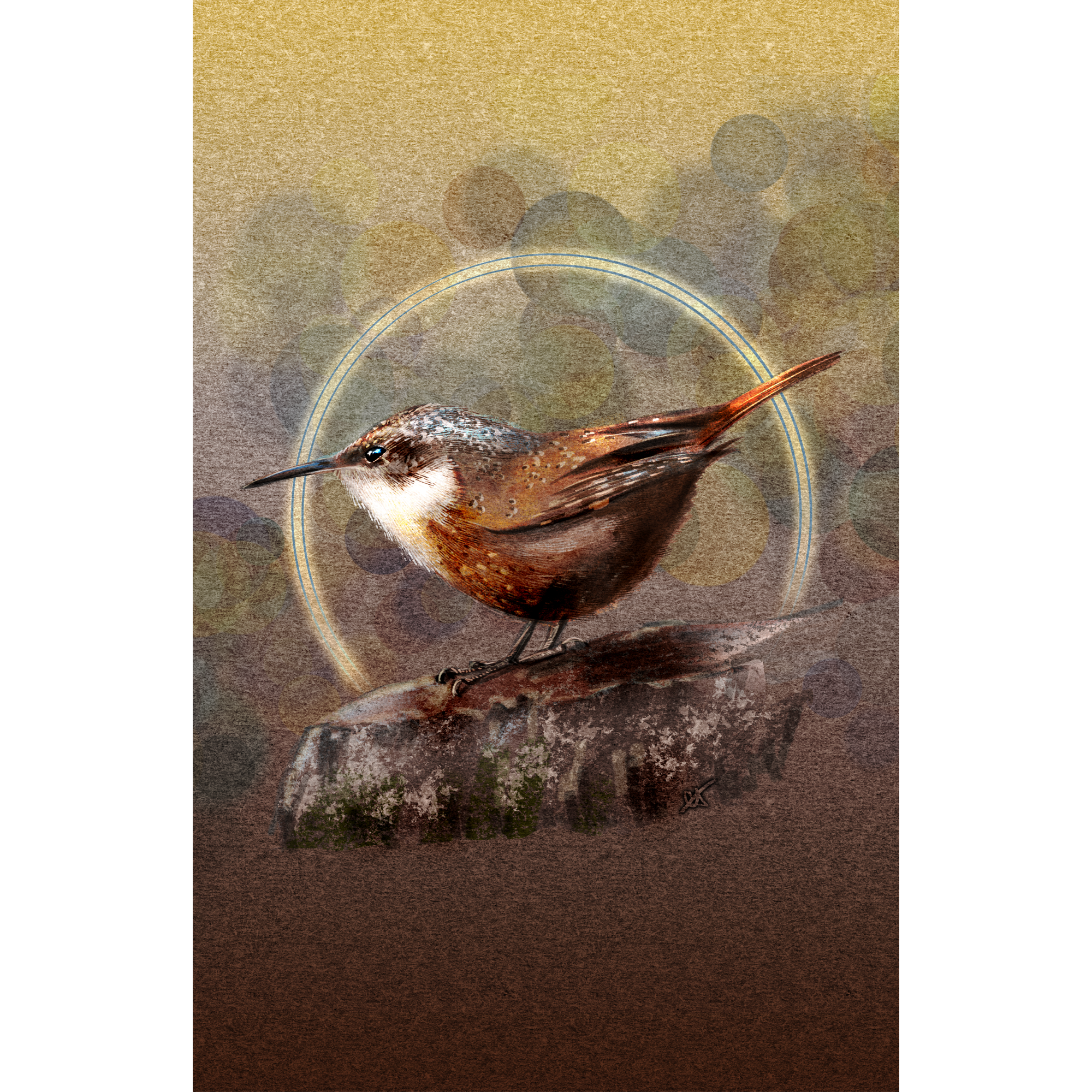 Bird perched on a rock with a circular frame in the background