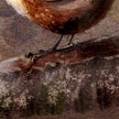 Close-up of a bird perched on a branch with detailed feather texture.