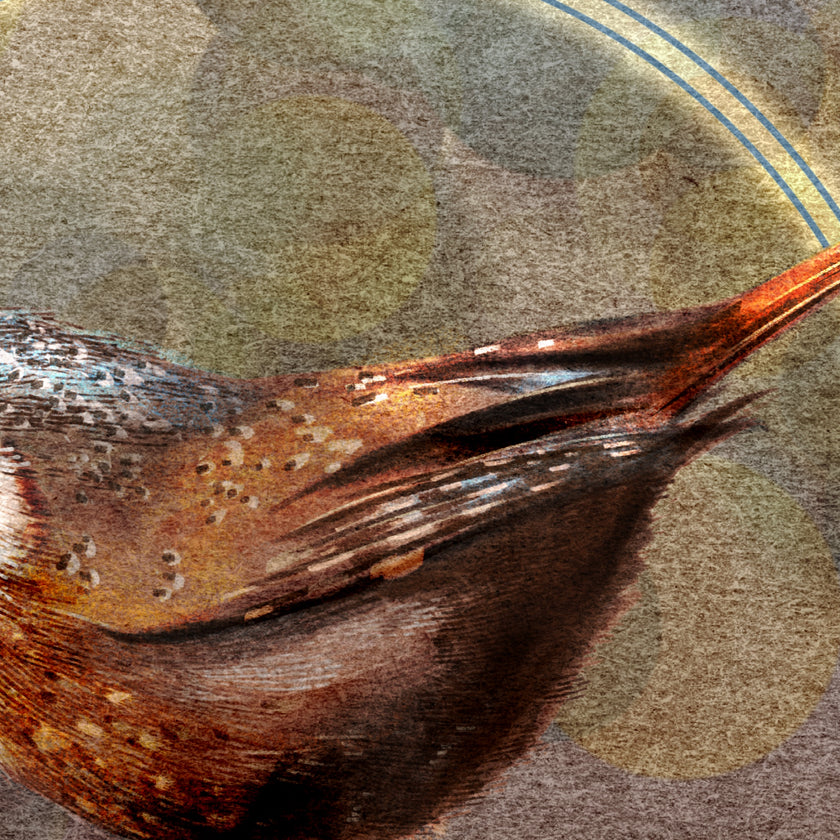 Close-up of a bird's feather with a textured brown background