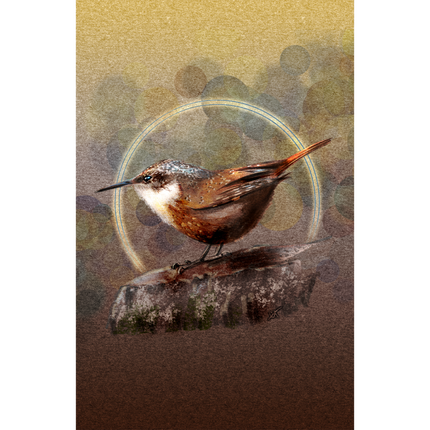 Bird perched on a rock with a circular frame in the background