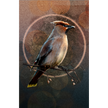 Artistic depiction of a bird perched on a branch with a circular design in the background