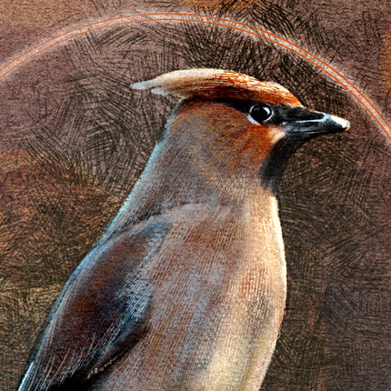 Close-up of a bird with a textured brown background