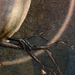 Close-up of a bird's talons wrapped around a branch and a textured background