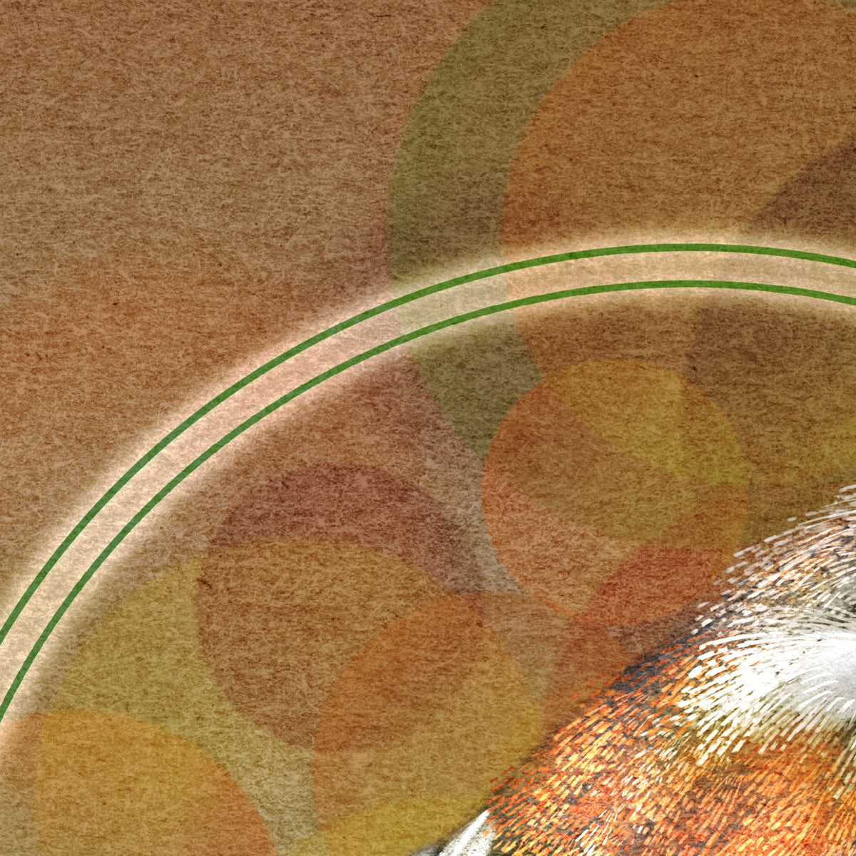 A closeup of textured stylized print.