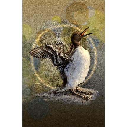 Illustration of a bird with open wings on a textured background