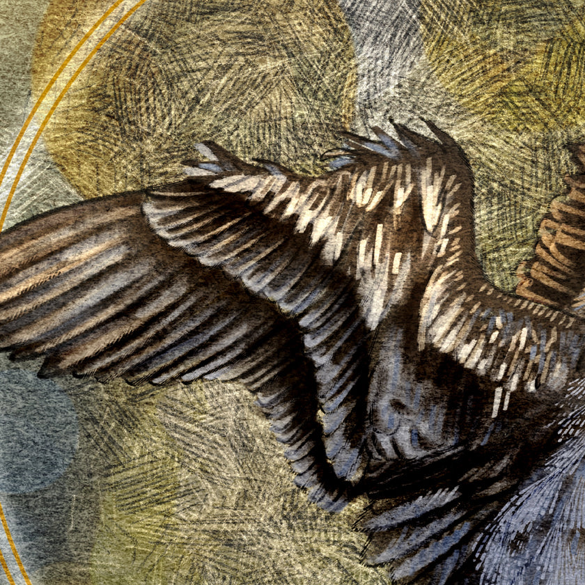 Close-up of a bird's wings with detailed feather texture on a textured background