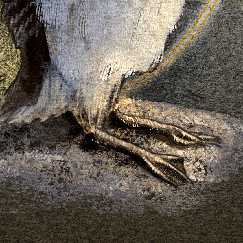 Close-up of a bird's claw with detailed texture
