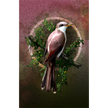 Illustration of a bird perched on a branch with a decorative circular background