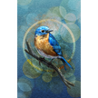Blue bird on a branch with a bokeh effect background
