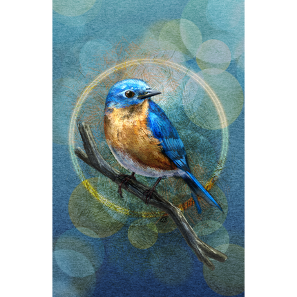 Blue bird on a branch with a bokeh effect background