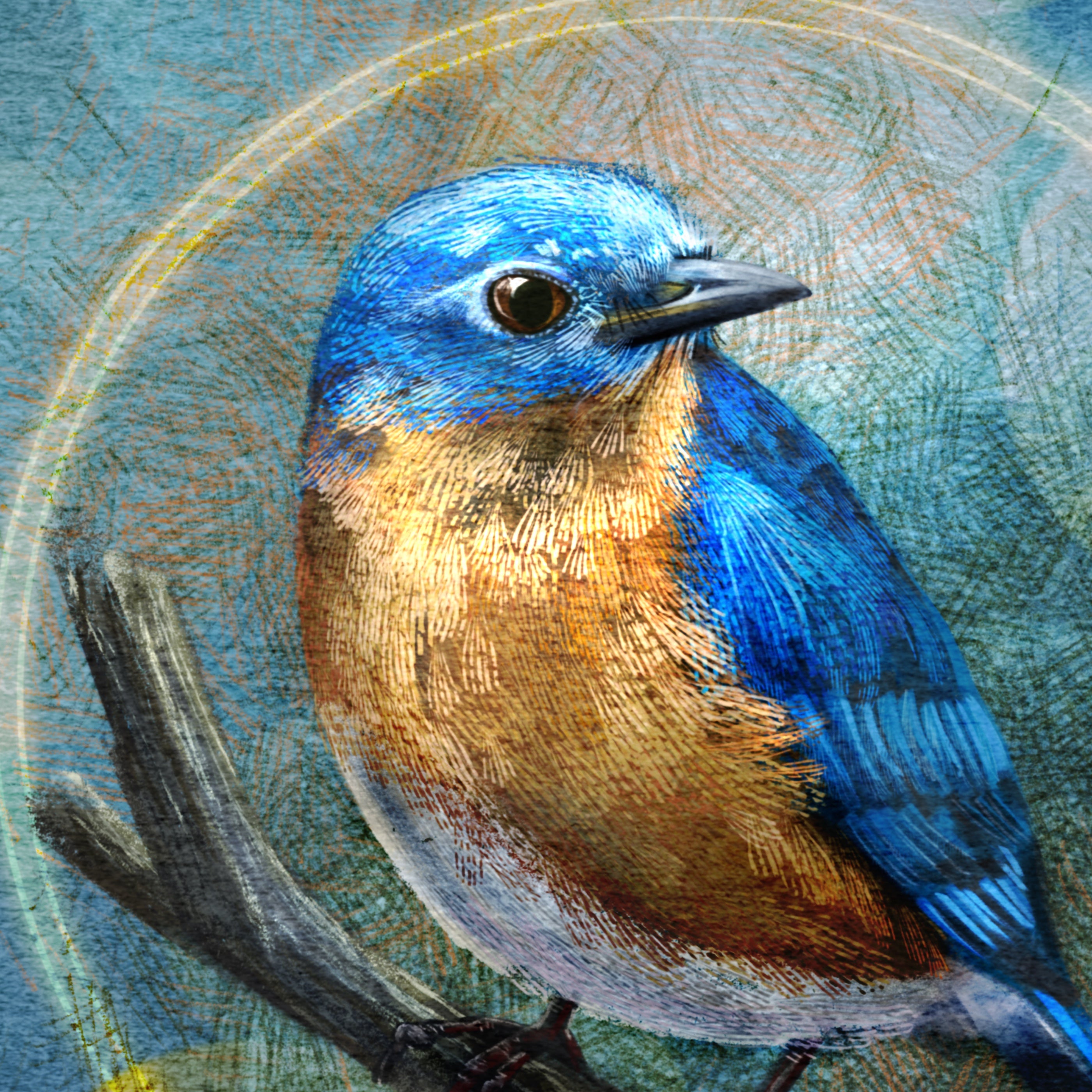 Illustration of a blue bird perched on a branch with a textured background