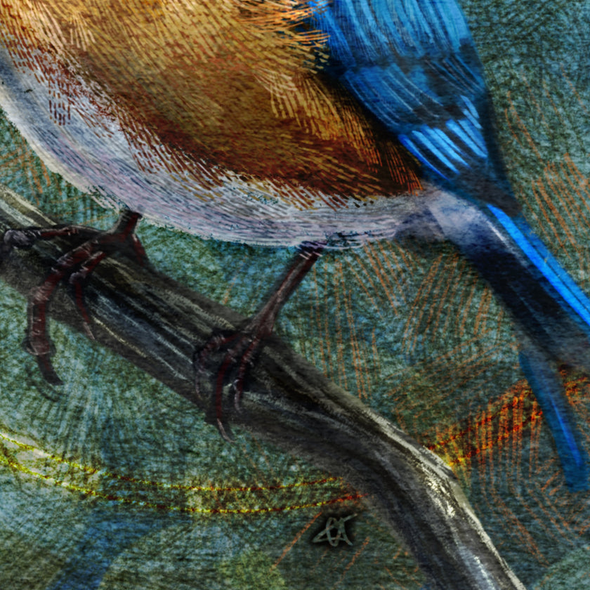 Close-up of a blue bird perched on a branch with textured background