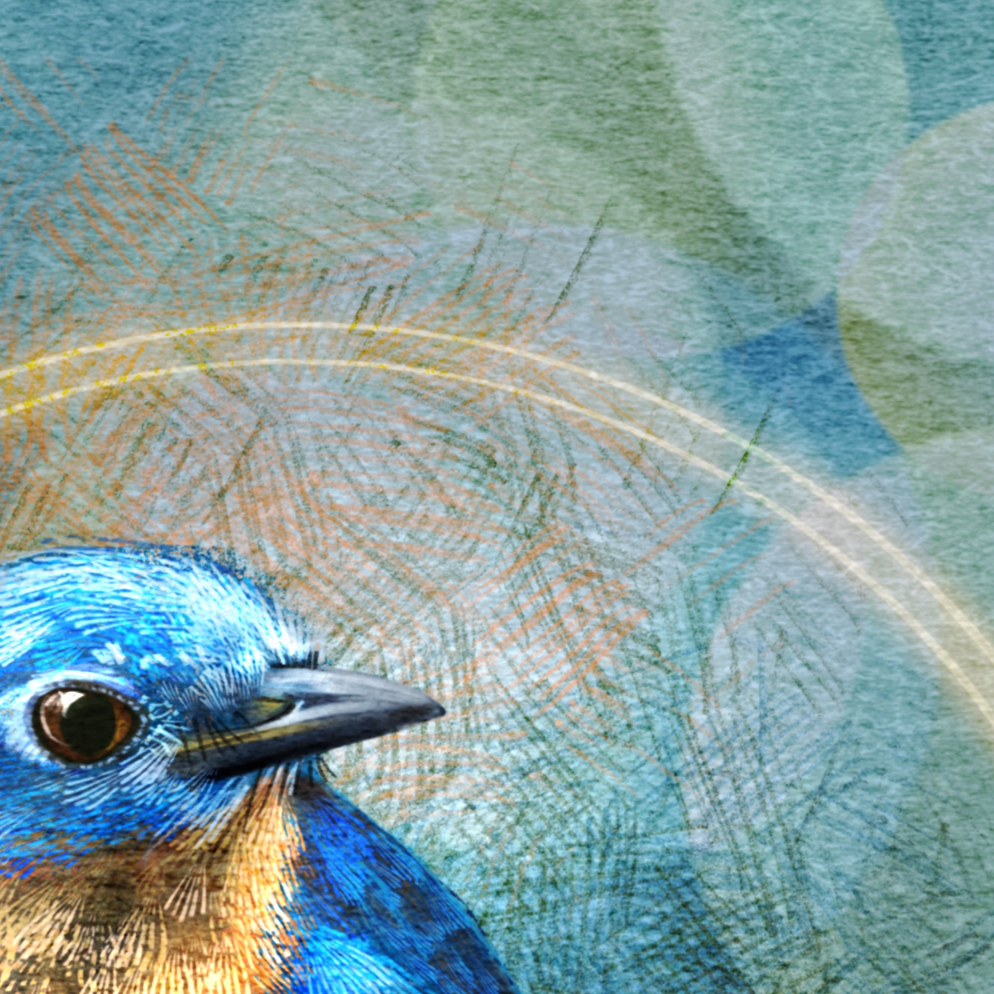 Close-up of a blue bird with detailed feather patterns on a textured background