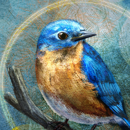 Illustration of a blue bird perched on a branch with a textured background