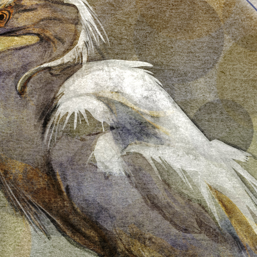 Close-up of a bird with detailed feathers on a textured background