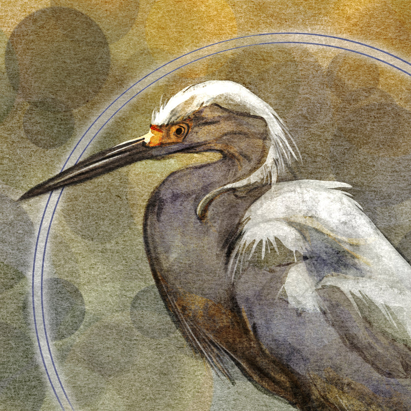 Artistic illustration of a bird with a detailed feather pattern on a textured background