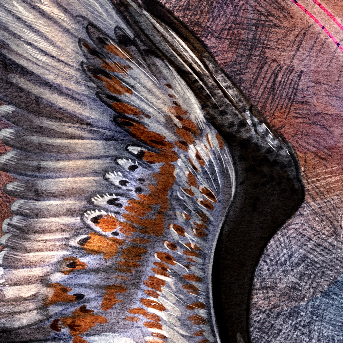 Closeup of stylized print of a hawk wing.