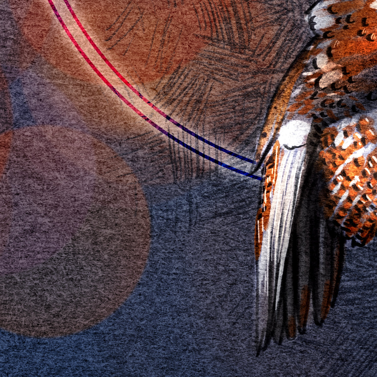 Closeup of stylized print of a hawk's tail.