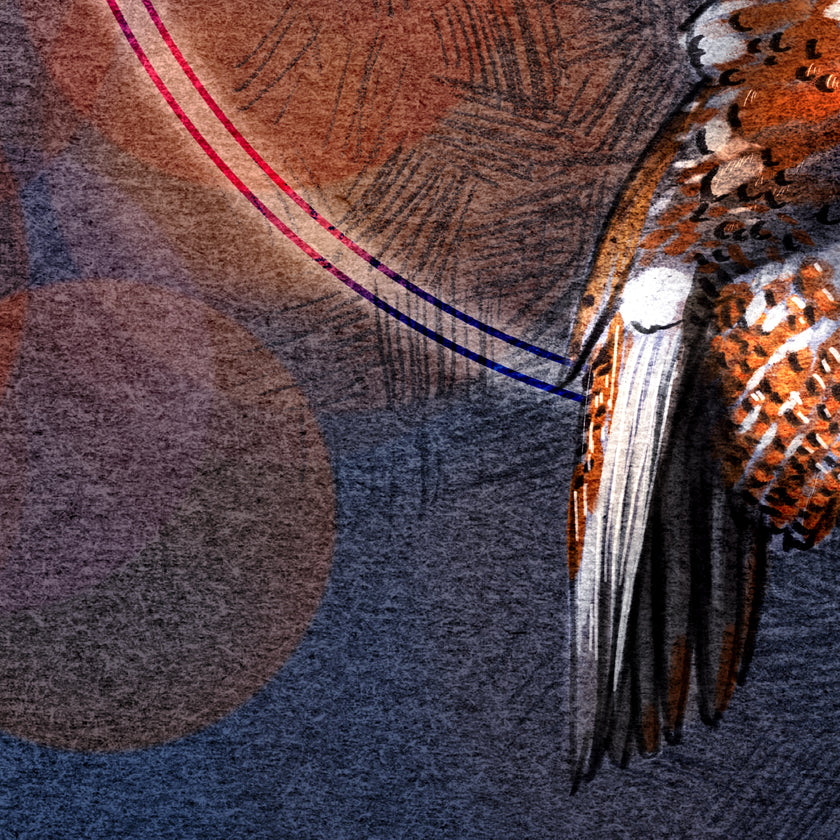 Closeup of stylized print of a hawk's tail.