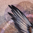 Closeup of stylized print of a hawk wing.