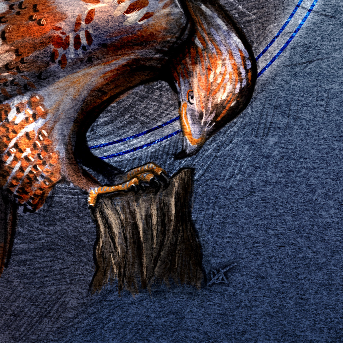 Closeup of stylized print of a hawk.