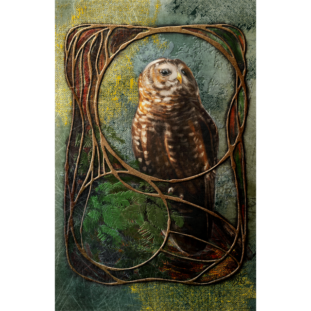 Artistic depiction of an owl within a decorative frame on a textured background