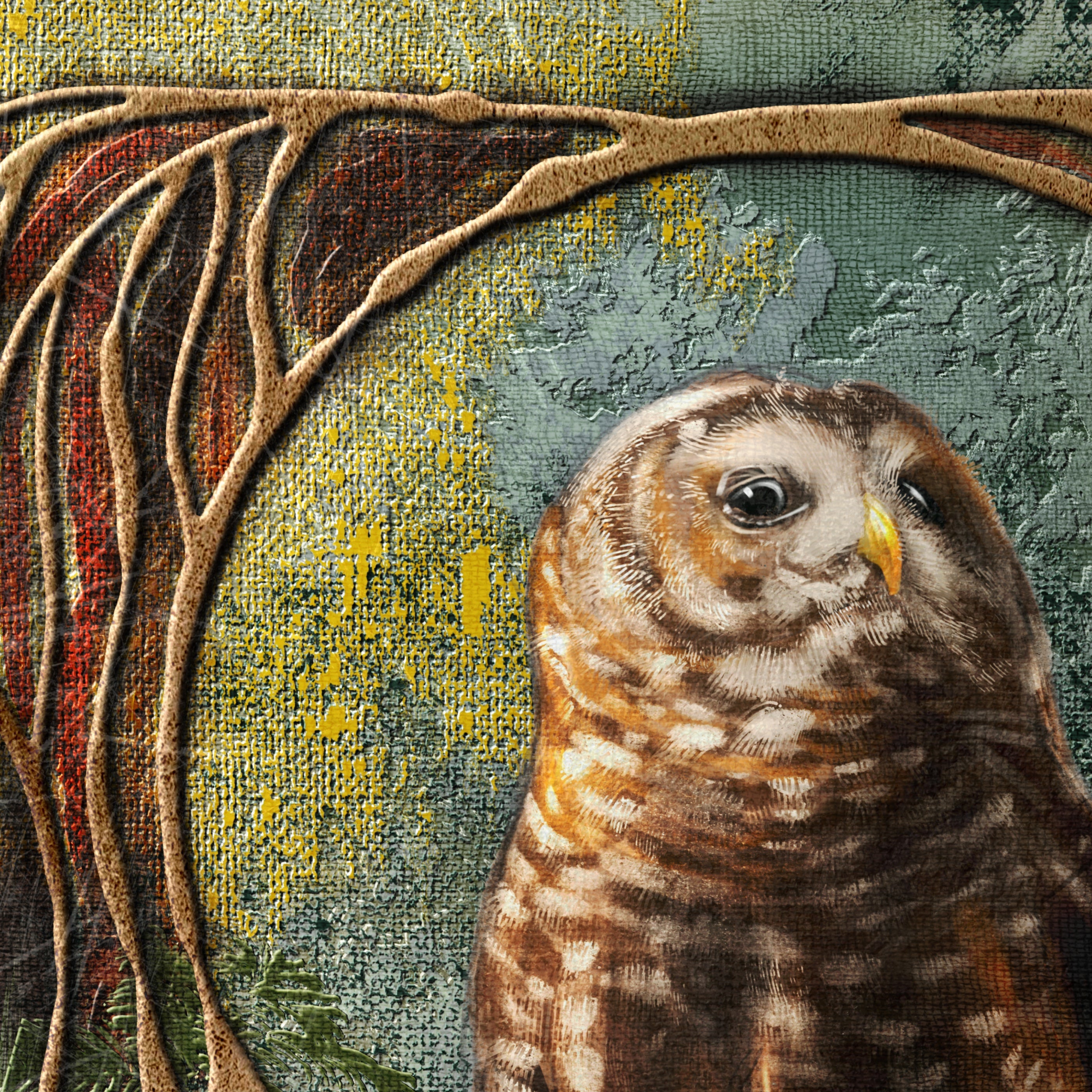 Close-up of an owl with a textured background