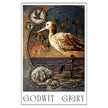 Artistic depiction of a wading bird with decorative elements and 'Godwit Glory' text.