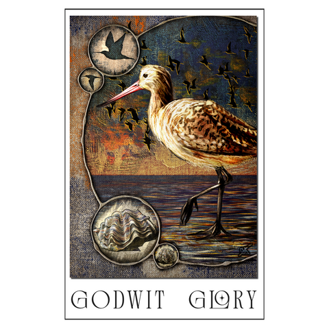 Artistic depiction of a wading bird with decorative elements and 'Godwit Glory' text.
