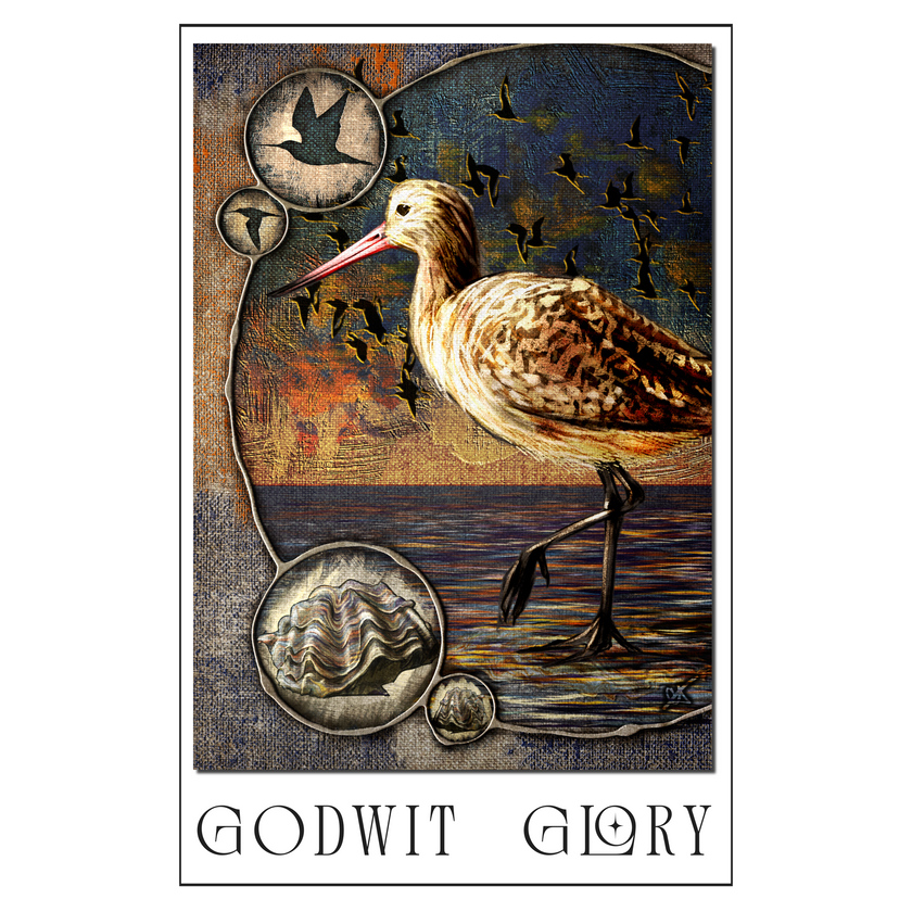 Artistic depiction of a wading bird with decorative elements and 'Godwit Glory' text.