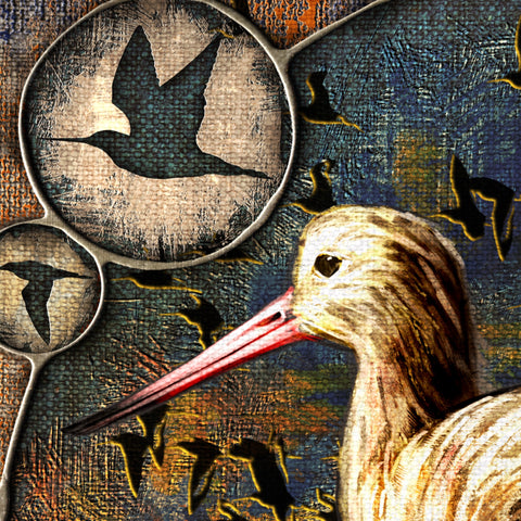Artistic depiction of a bird with a long red beak and a magnifying glass showing a smaller bird silhouette.