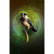Hooded Crow perched on a branch with a green circular light effect on a dark background